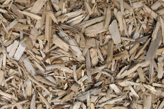 biomass boilers Wood End